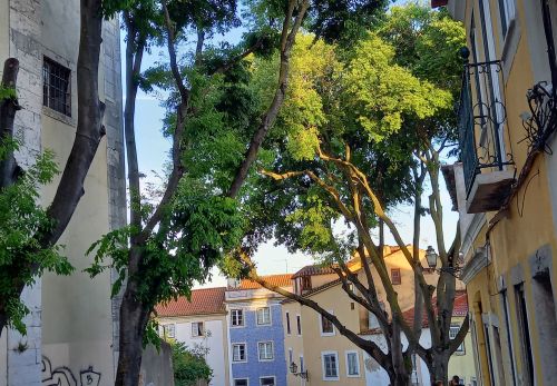 Bohunka Waageová: Výlet do Lisabonu - výstava fotografií