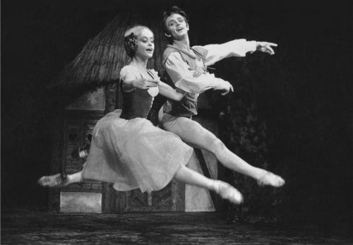 Giselle - 19.12.1969, Anetta Voleská (Giselle), Vlastimil Harapes (Vévoda Albert)
Foto: Jaromír Svoboda