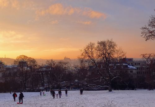 Bohunka Waageová: Krása "Riegráku" 16. 2. 2026 - výstava