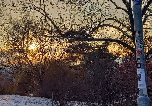 Bohunka Waageová: Krása "Riegráku" 16. 2. 2026 - výstava