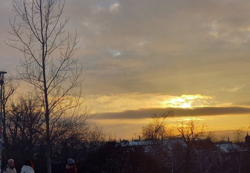 Bohunka Waageová: Krása "Riegráku" 16. 2. 2026 - výstava