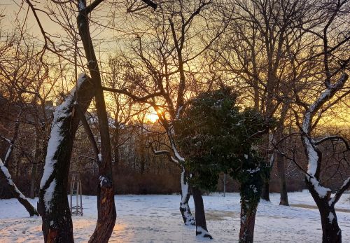 Bohunka Waageová: Krása "Riegráku" 16. 2. 2026 - výstava