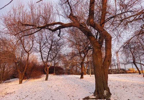 Bohunka Waageová: Krása "Riegráku" 16. 2. 2026 - výstava