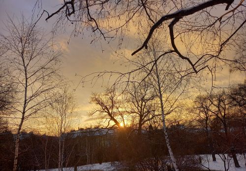 Bohunka Waageová: Krása "Riegráku" 16. 2. 2026 - výstava