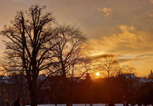 Bohunka Waageová: Krása "Riegráku" 16. 2. 2026 - výstava