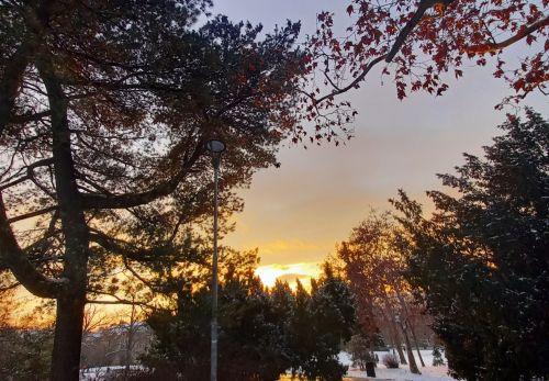 Bohunka Waageová: Krása "Riegráku" 16. 2. 2026 - výstava