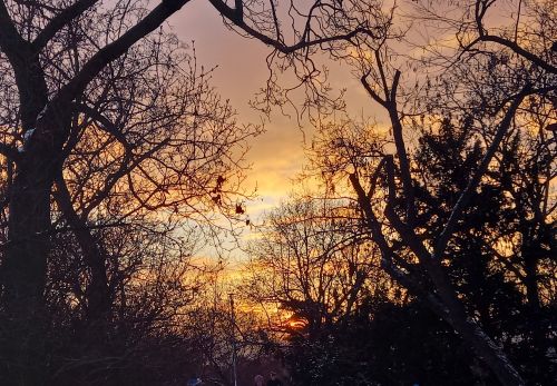 Bohunka Waageová: Krása "Riegráku" 16. 2. 2026 - výstava