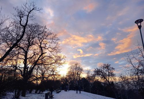Bohunka Waageová: Krása "Riegráku" 16. 2. 2026 - výstava