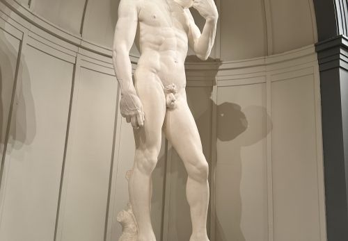 Legendární socha Davida od Michelangela Buonarrotiho. Kopie v Mánesu ze z 3D sceneru a 3D tiskárny, váží cca 160 kg a mšří i s podstavcem přes 5 metrů.