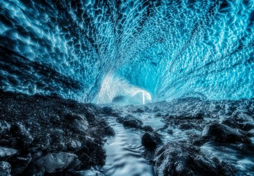 Czech Nature Photo - virtuální výstava nominovaných fotografií - 2. část