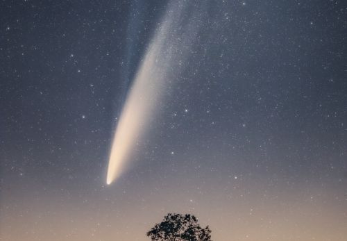 Lukáš Veselý - Významné stromy pod noční oblohou (1)